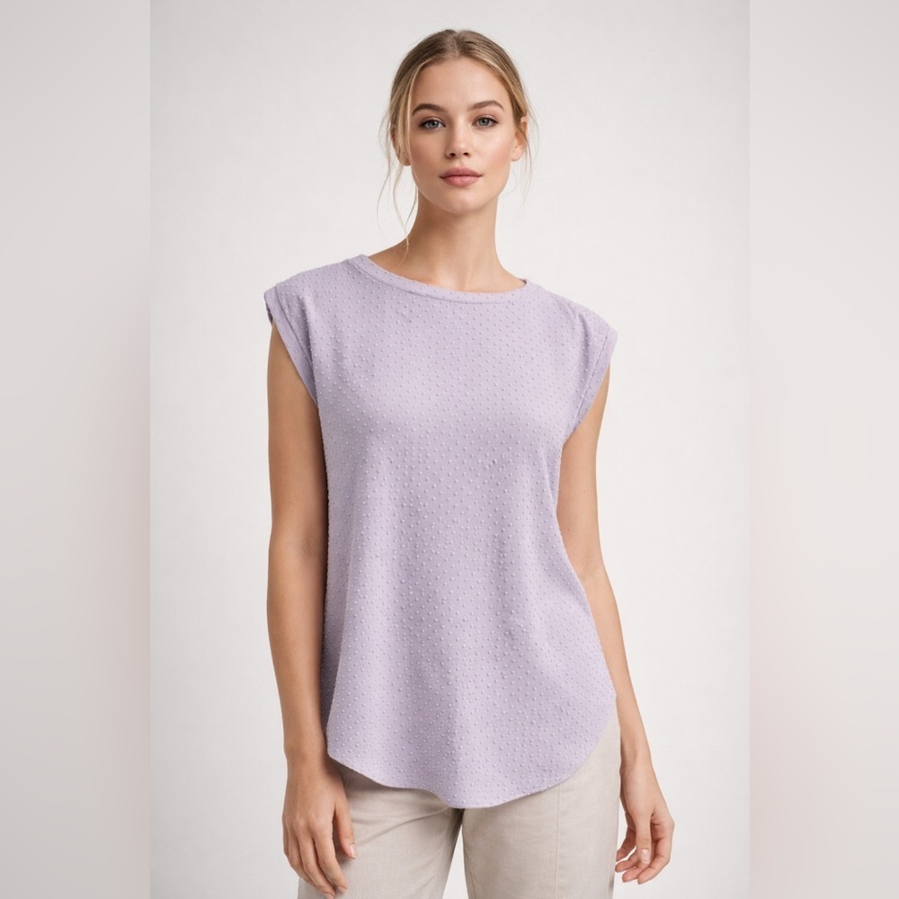 Quiet Luxury Swiss Dot Cap Sleeve Blouse Wilfred Aritzia